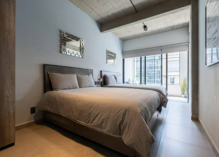 P501 2bdrm 2bath Ac Rooftop Apartment Mexico City